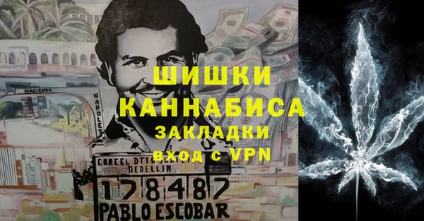 гашик Арсеньев