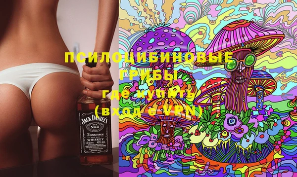 гашик Арсеньев
