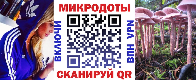 Галлюциногенные грибы Cubensis  Мариинск 